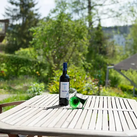 Διαμέρισμα Honberg Tuttlingen